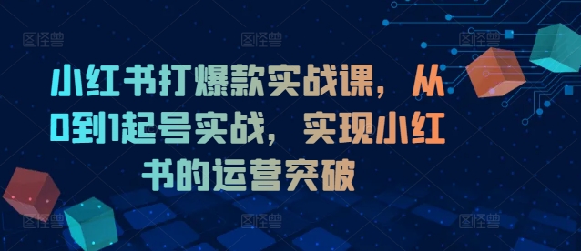 小红书打爆款实战课，从0到1起号实战，实现小红书的运营突破-pcp资源社