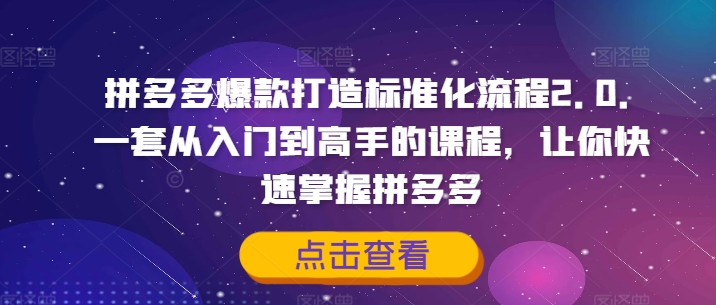 拼多多爆款打造标准化流程2.0，一套从入门到高手的课程，让你快速掌握拼多多-pcp资源社