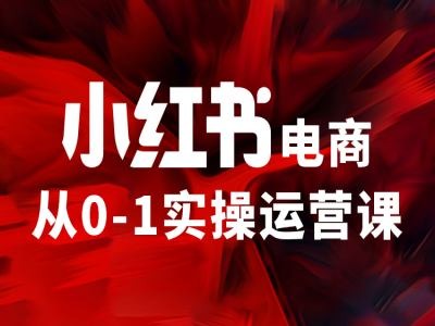 小红书电商从0-1实操运营课，让你从小白到精英-pcp资源社