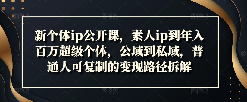 新个体ip公开课，素人ip到年入百万超级个体，公域到私域，普通人可复制的变现路径拆解-pcp资源社