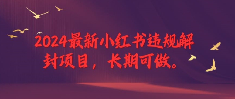 2024最新小红书违规解封项目，长期可做，一个可以做到退休的项目【揭秘】-pcp资源社