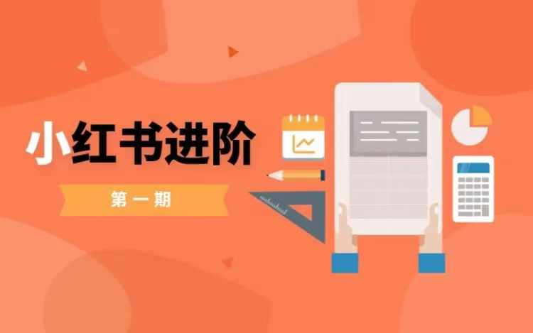 小红书进阶篇，零基础小白实战课，普通人变现的课程-pcp资源社