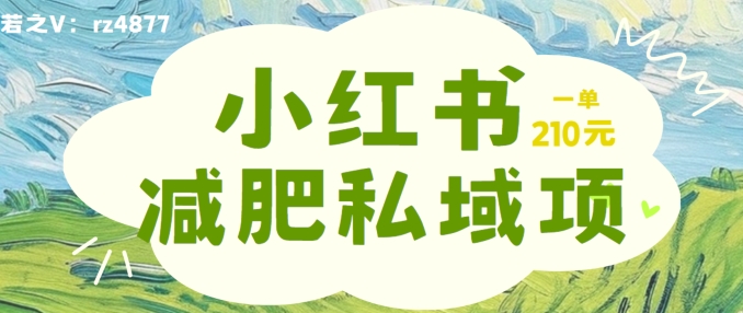 小红书减肥粉，私域变现项目，一单就达210元，小白也能轻松上手【揭秘】-pcp资源社