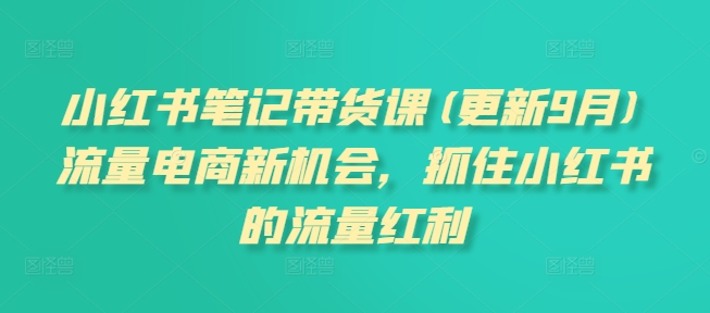 小红书笔记带货课(更新9月)流量电商新机会，抓住小红书的流量红利-pcp资源社