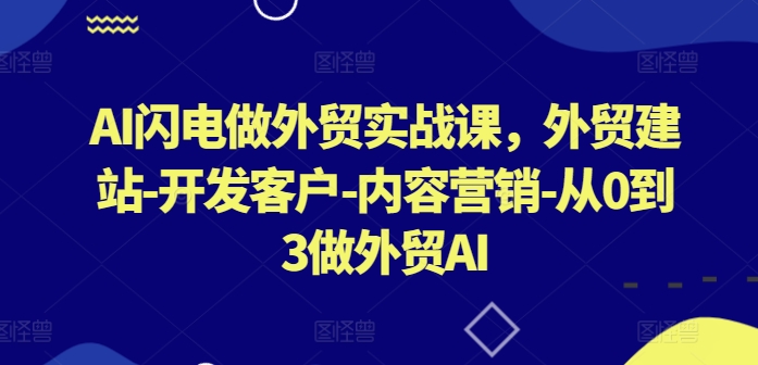 AI闪电做外贸实战课，​外贸建站-开发客户-内容营销-从0到3做外贸AI（更新）-pcp资源社