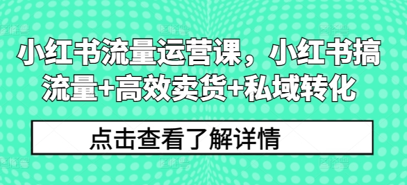 小红书流量运营课，小红书搞流量+高效卖货+私域转化-pcp资源社