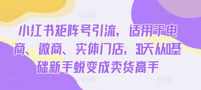 小红书矩阵号引流，适用于电商、微商、实体门店，30天从0基础新手蜕变成卖货高手-pcp资源社