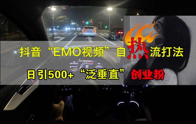 抖音EMO视频自热打法，日引500+“泛垂直”创业粉-pcp资源社