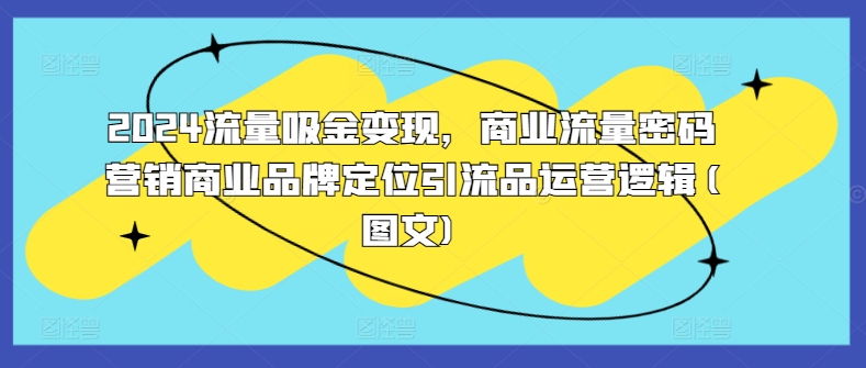 2024流量吸金变现，商业流量密码营销商业品牌定位引流品运营逻辑(图文)-pcp资源社