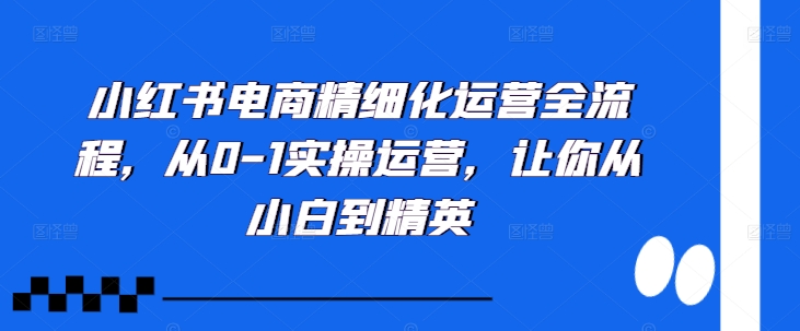 小红书电商精细化运营全流程，从0-1实操运营，让你从小白到精英-pcp资源社