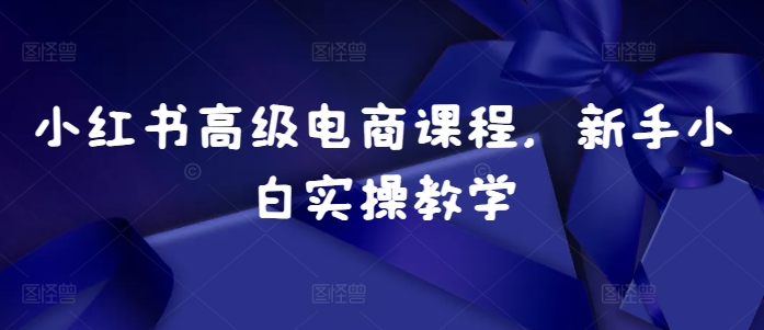 小红书高级电商课程，新手小白实操教学-pcp资源社