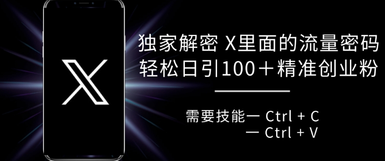 独家解密 X 里面的流量密码，复制粘贴轻松日引100+-pcp资源社