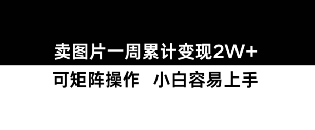 小红书【卖图片】一周累计变现2W+小白易上手-pcp资源社