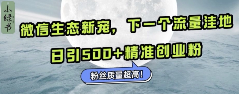 微信生态新宠小绿书：下一个流量洼地，日引500+精准创业粉，粉丝质量超高-pcp资源社