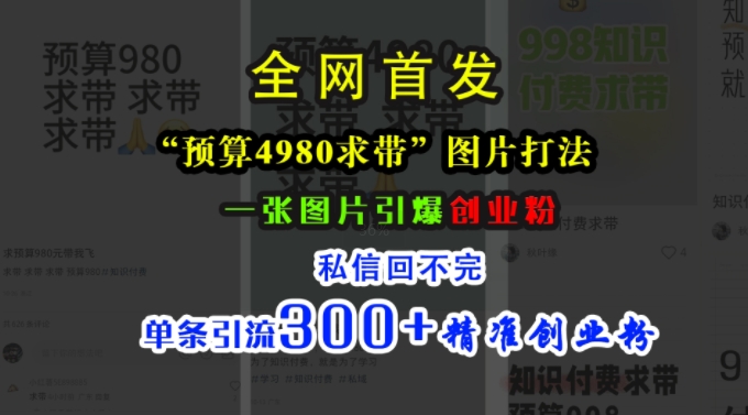 小红书“预算4980带我飞”图片打法，一张图片引爆创业粉，私信回不完，单条引流300+精准创业粉-pcp资源社