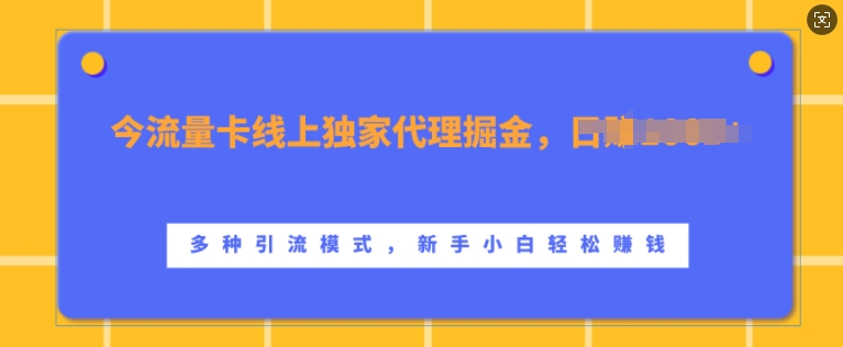 流量卡线上独家代理掘金，日入1k+ ，多种引流模式，新手小白轻松上手【揭秘】-pcp资源社