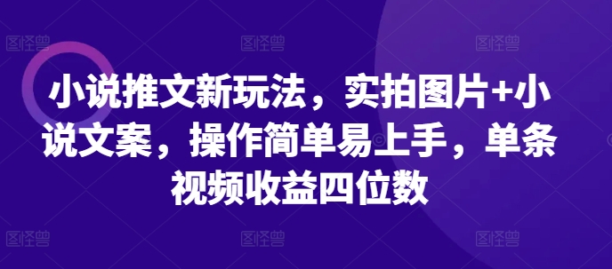 小说推文新玩法，实拍图片+小说文案，操作简单易上手，单条视频收益四位数-pcp资源社