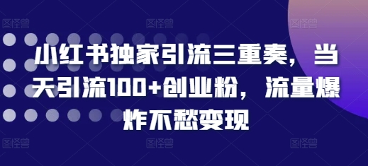 小红书独家引流三重奏，当天引流100+创业粉，流量爆炸不愁变现【揭秘】-pcp资源社