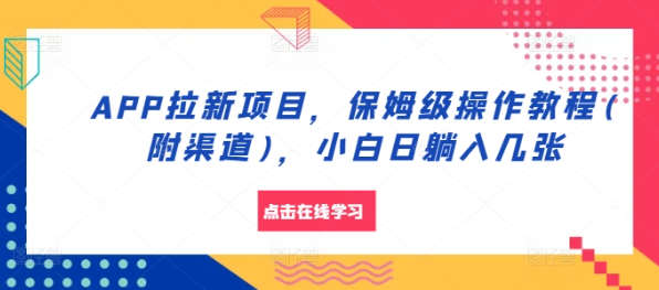 APP拉新项目，保姆级操作教程(附渠道)，小白日躺入几张【揭秘】-pcp资源社