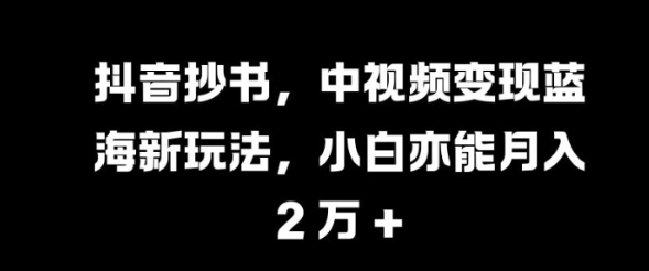 抖音抄书，中视频变现蓝海新玩法，小白亦能月入 过W【揭秘】-pcp资源社