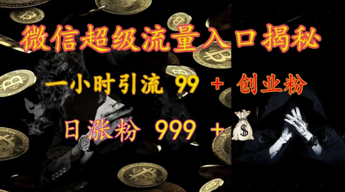 微信超级流量入口揭秘：一小时引流 99 + 创业粉，日涨粉 999 +-pcp资源社