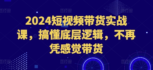 2024短视频带货实战课，搞懂底层逻辑，不再凭感觉带货-pcp资源社