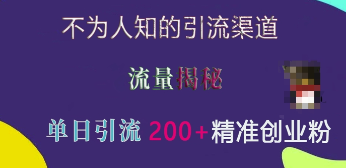 不为人知的引流渠道，流量揭秘，实测单日引流200+精准创业粉【揭秘】-pcp资源社