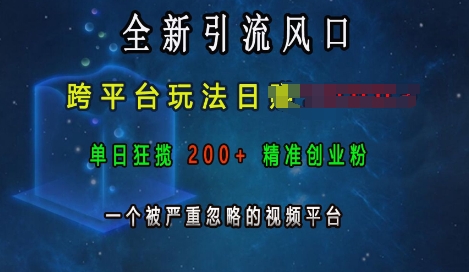 全新引流风口，跨平台玩法日入上k，单日狂揽200+精准创业粉，一个被严重忽略的视频平台-pcp资源社