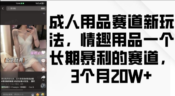 成人用品赛道新玩法，情趣用品一个长期暴利的赛道，3个月收益20个【揭秘】-pcp资源社