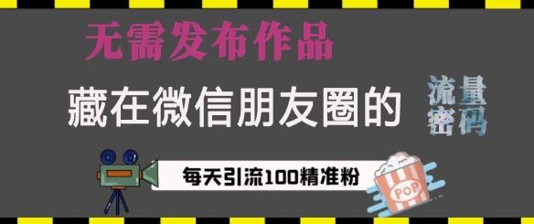 藏在微信朋友圈的流量密码，无需发布作品，单日引流100+精准创业粉【揭秘】-pcp资源社