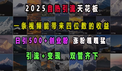 2025自热引流天花板，一条视频能带来四位数的收益，引流+变现双管齐下，日引500+创业粉，涨粉嘎嘎猛-pcp资源社