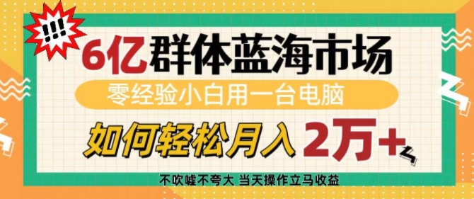 6亿群体蓝海市场，零经验小白用一台电脑，如何轻松月入过w【揭秘】-pcp资源社