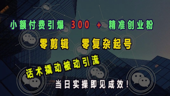 小额付费引爆 300 + 精准创业粉，零剪辑、零复杂起号，话术撬动被动引流，当日实操即见成效-pcp资源社