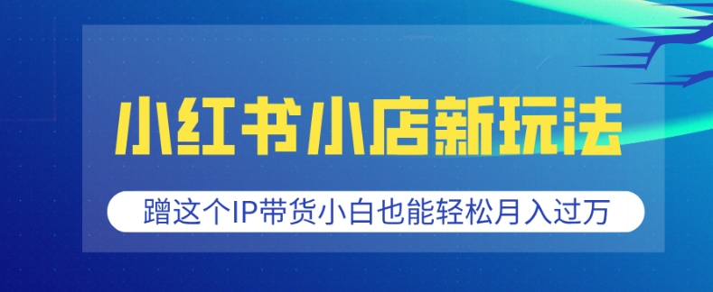 小红书小店新玩法，蹭这个IP带货，小白也能轻松月入过W【揭秘】-pcp资源社