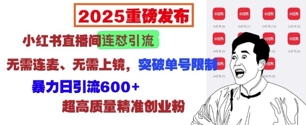 2025重磅发布：小红书直播间连怼引流，无需连麦、无需上镜，突破单号限制，暴力日引流600+-pcp资源社