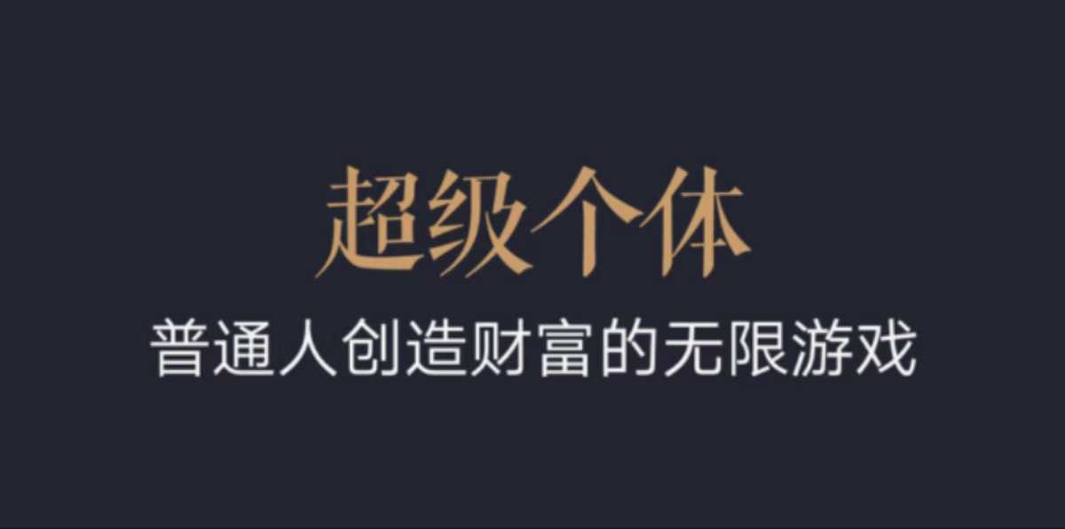 超级个体：2024-2025翻盘指南，普通人创造财富的无限游戏-pcp资源社