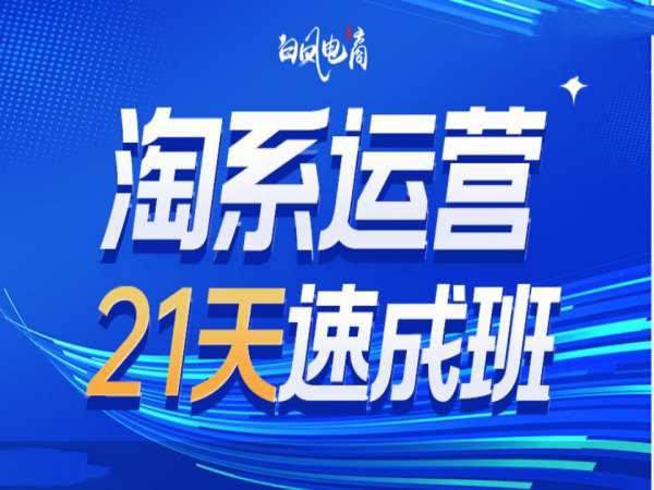 淘系运营21天速成班35期，年前最后一波和2025方向-pcp资源社