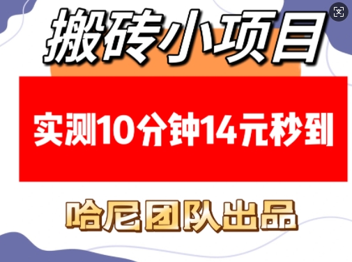 搬砖小项目，实测10分钟14元秒到，每天稳定几张(赠送必看稳定)-pcp资源社