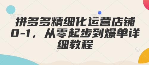 拼多多精细化运营店铺0-1，从零起步到爆单详细教程-pcp资源社