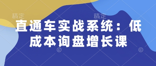 直通车实战系统：低成本询盘增长课，让个人通过技能实现升职加薪，让企业低成本获客，订单源源不断-pcp资源社