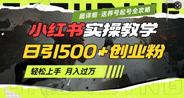 2月小红书最新日引500+创业粉实操教学【超详细】小白轻松上手，月入1W+，附小红书养号起号SOP-pcp资源社