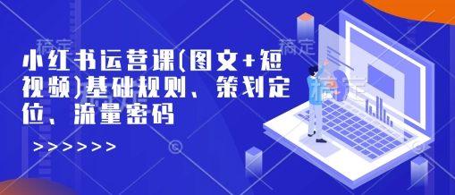 小红书运营课(图文+短视频)基础规则、策划定位、流量密码-pcp资源社