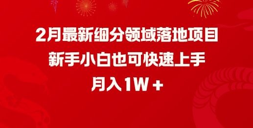 2月最新细分领域落地项目，新手小白也可快速上手，月入1W-pcp资源社