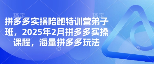 拼多多实操陪跑特训营弟子班，2025年2月拼多多实操课程，海量拼多多玩法-pcp资源社