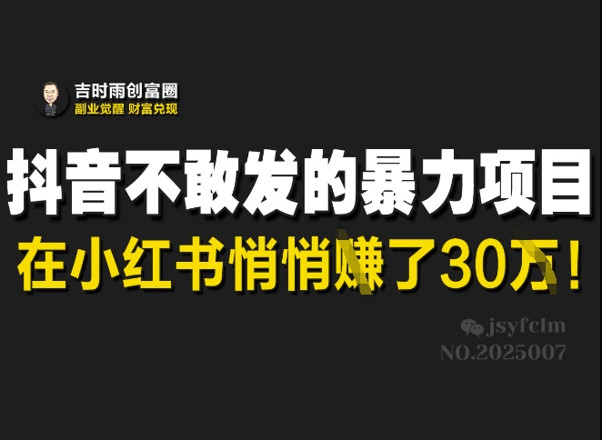 抖音不敢发的暴利项目，在小红书悄悄挣了30W-pcp资源社