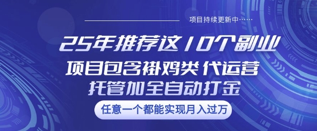 25年推荐这10个副业项目包含褂鸡类、代运营托管类、全自动打金类【揭秘】-pcp资源社